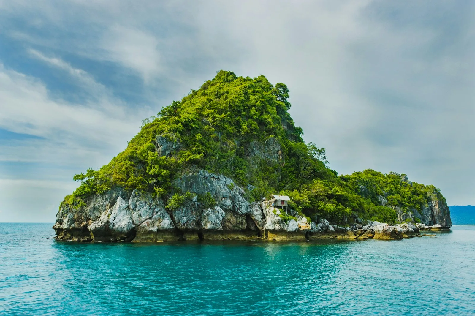 Palm-lined tropical beach with turquoise water