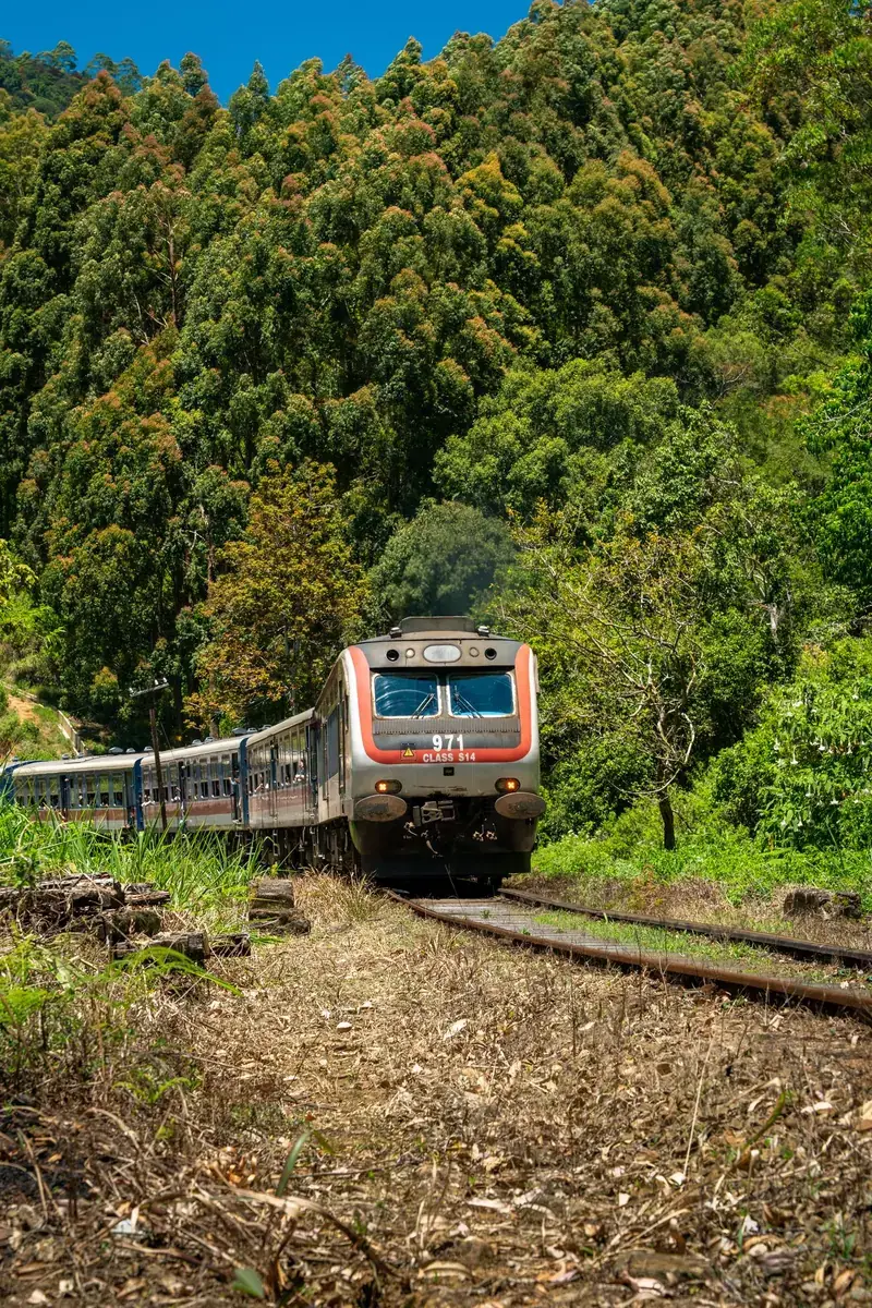 Train winding through green mountains